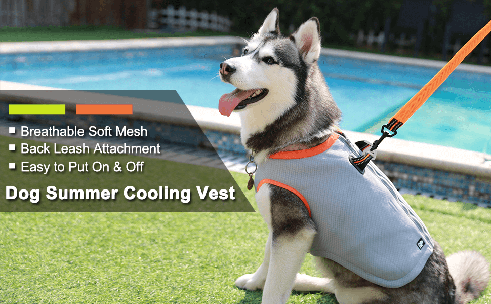 Breathable Dog Cooling Jackets
