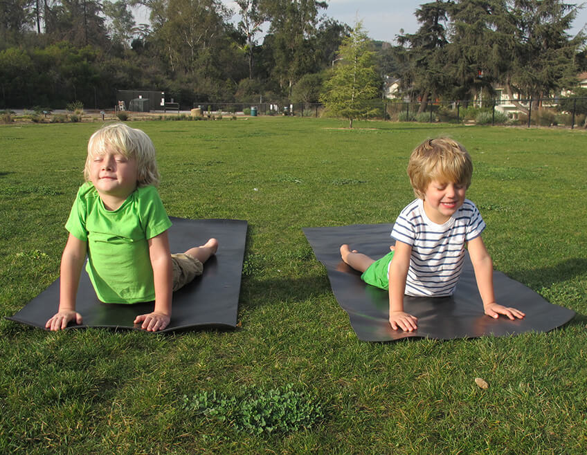 Yoga Snake Pose