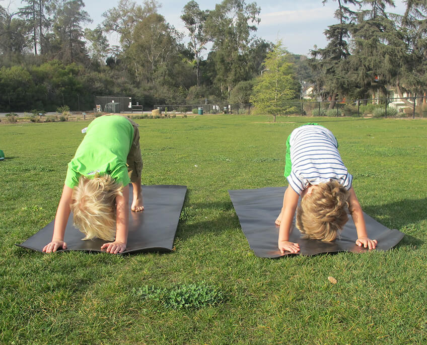 Yoga Downward Dog